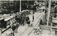 Ingrandisci