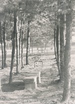 Ingrandisci