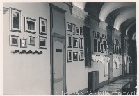 Ingrandisci